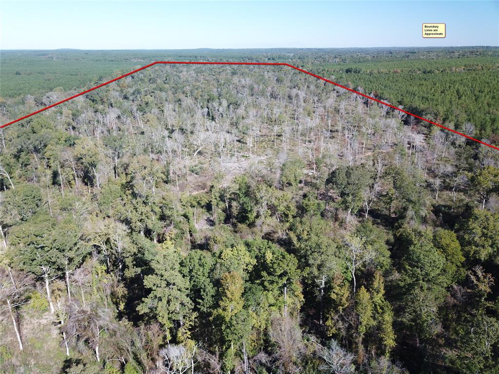 0 Evans-Gann Road Lufkin, TX 75904 - Photo 5 of 10 a view of a field with an outdoor space