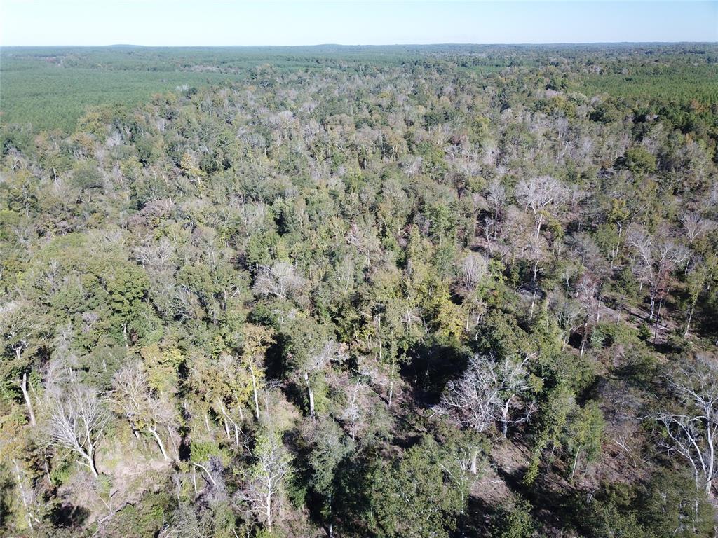 0 Evans-Gann Road Lufkin, TX 75904 - Photo 6 of 10 a view of a field with trees in the background