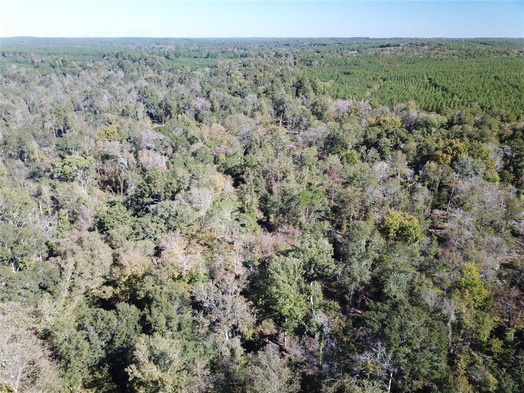 0 Evans-Gann Road Lufkin, TX 75904 - Photo 7 of 10 a view of a forest with trees in the background