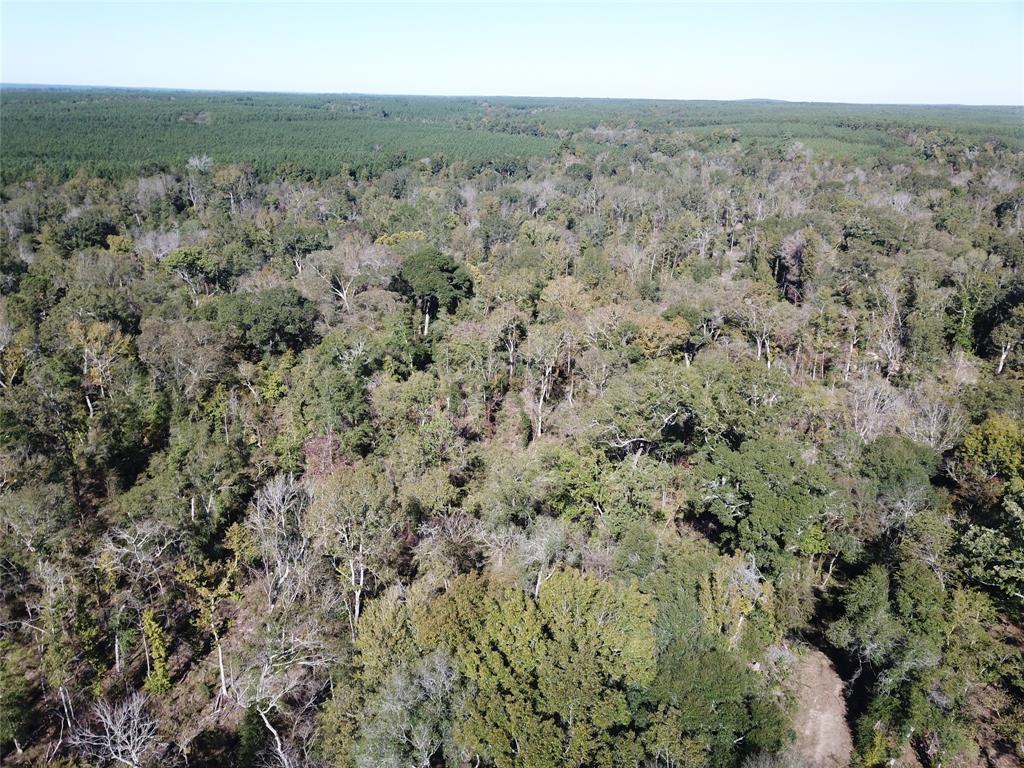 0 Evans-Gann Road Lufkin, TX 75904 - Photo 8 of 10 an aerial view of house with yard and mountain in the back