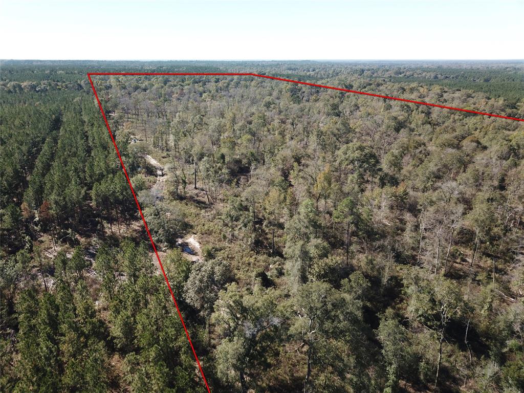0 Evans-Gann Road Lufkin, TX 75904 - Photo 9 of 10 an aerial view of forest