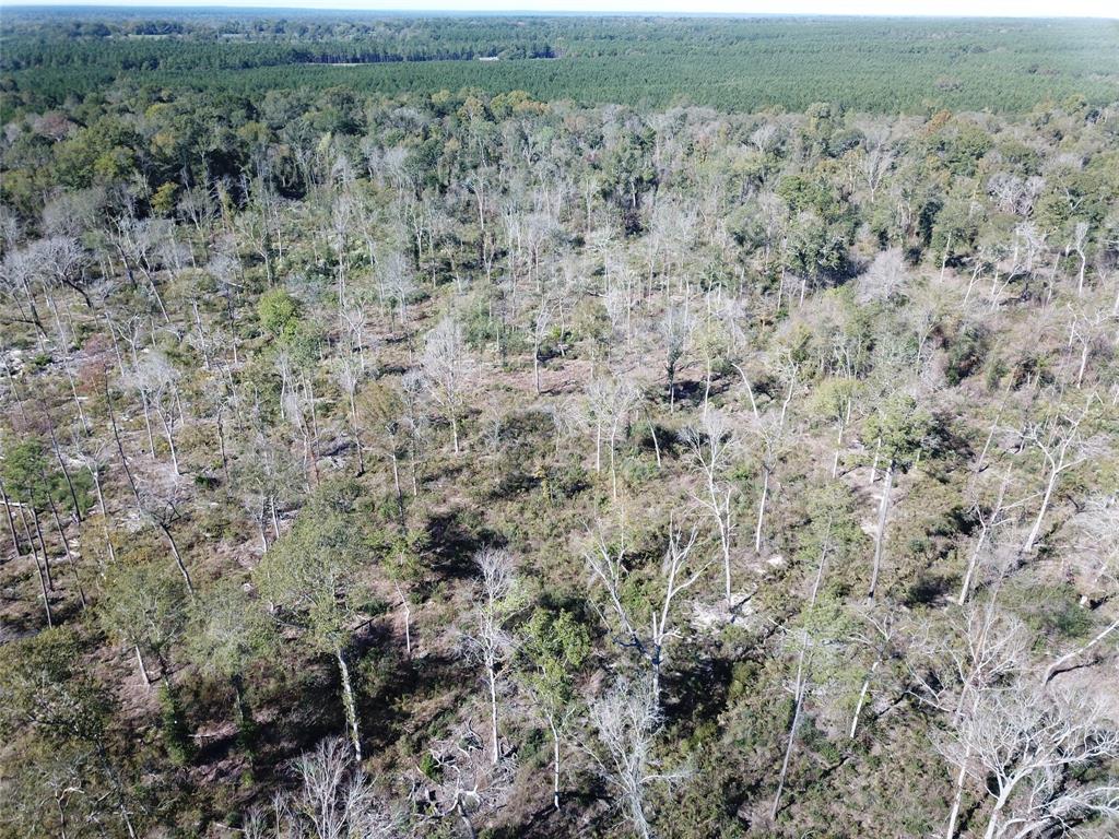 0 Evans-Gann Road Lufkin, TX 75904 - Photo 10 of 10 a view of a dry yard