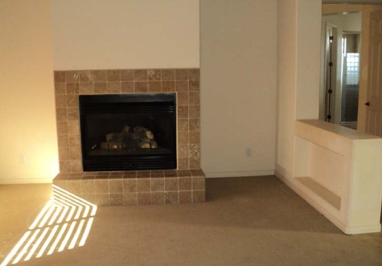 4637 East Reins Road Gilbert, AZ 85297 - Photo 6 of 6 fireplace