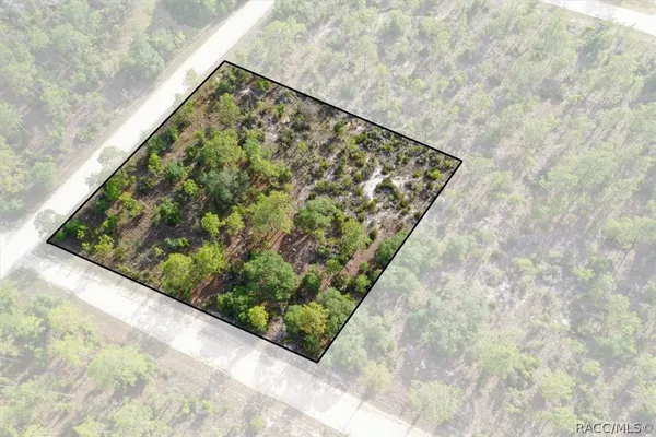 $44,000 | 0 Northeast 132nd Terrace, Williston, FL 32696