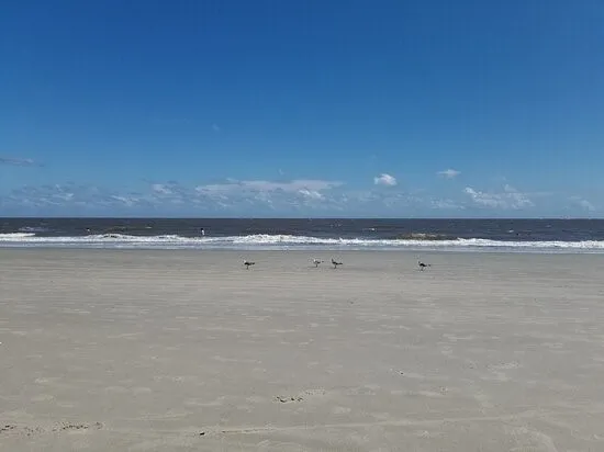 $3,000 | 802 Reserve Lane, St. Simons Island, GA 31522