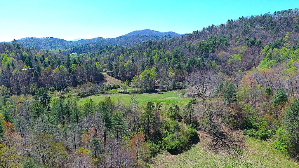 208 Odell Loop Murphy, NC 28906 - Photo 30 of 45