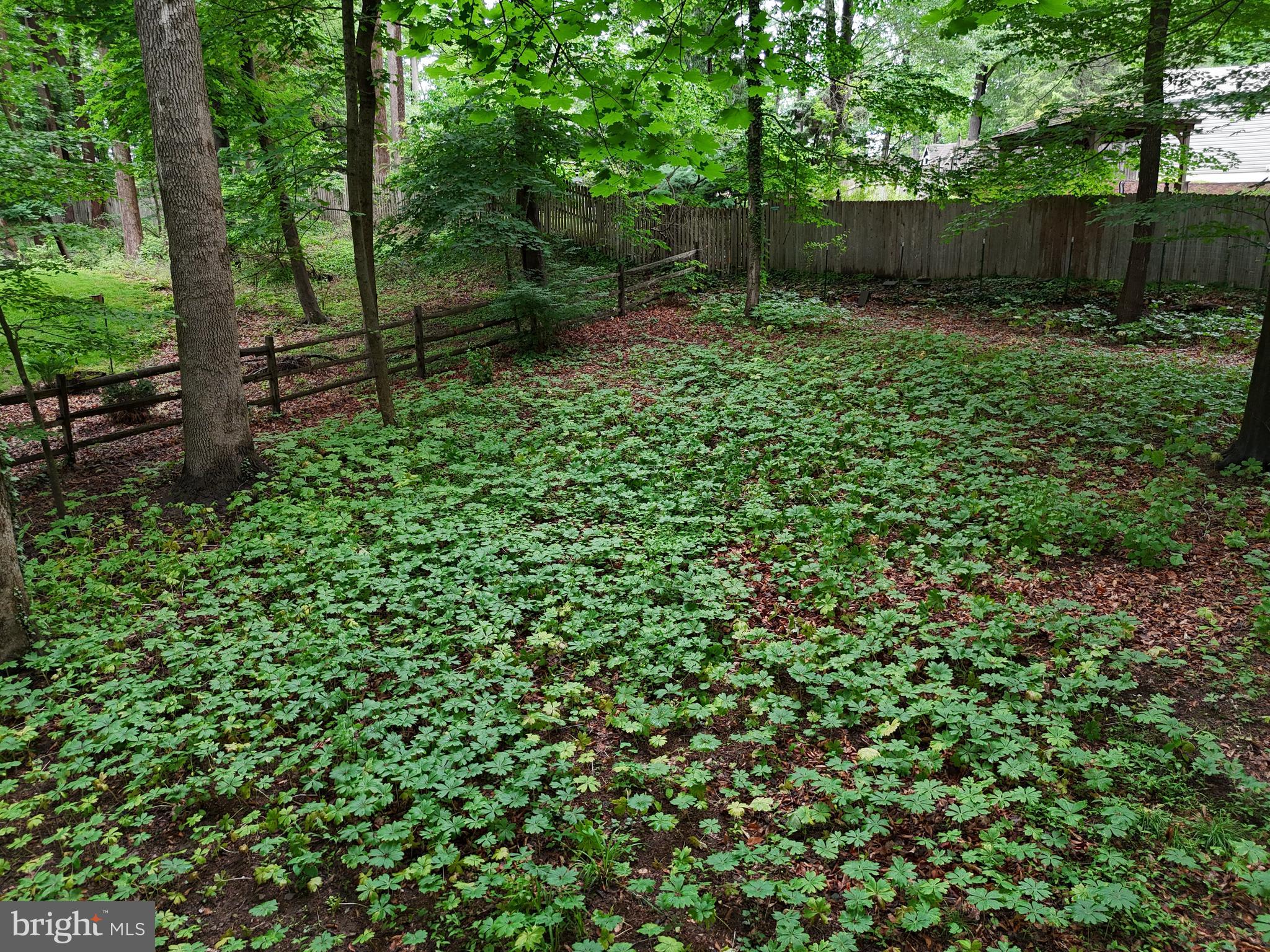 78 Tower Hill Road Doylestown, PA 18901 - Photo 13 of 90