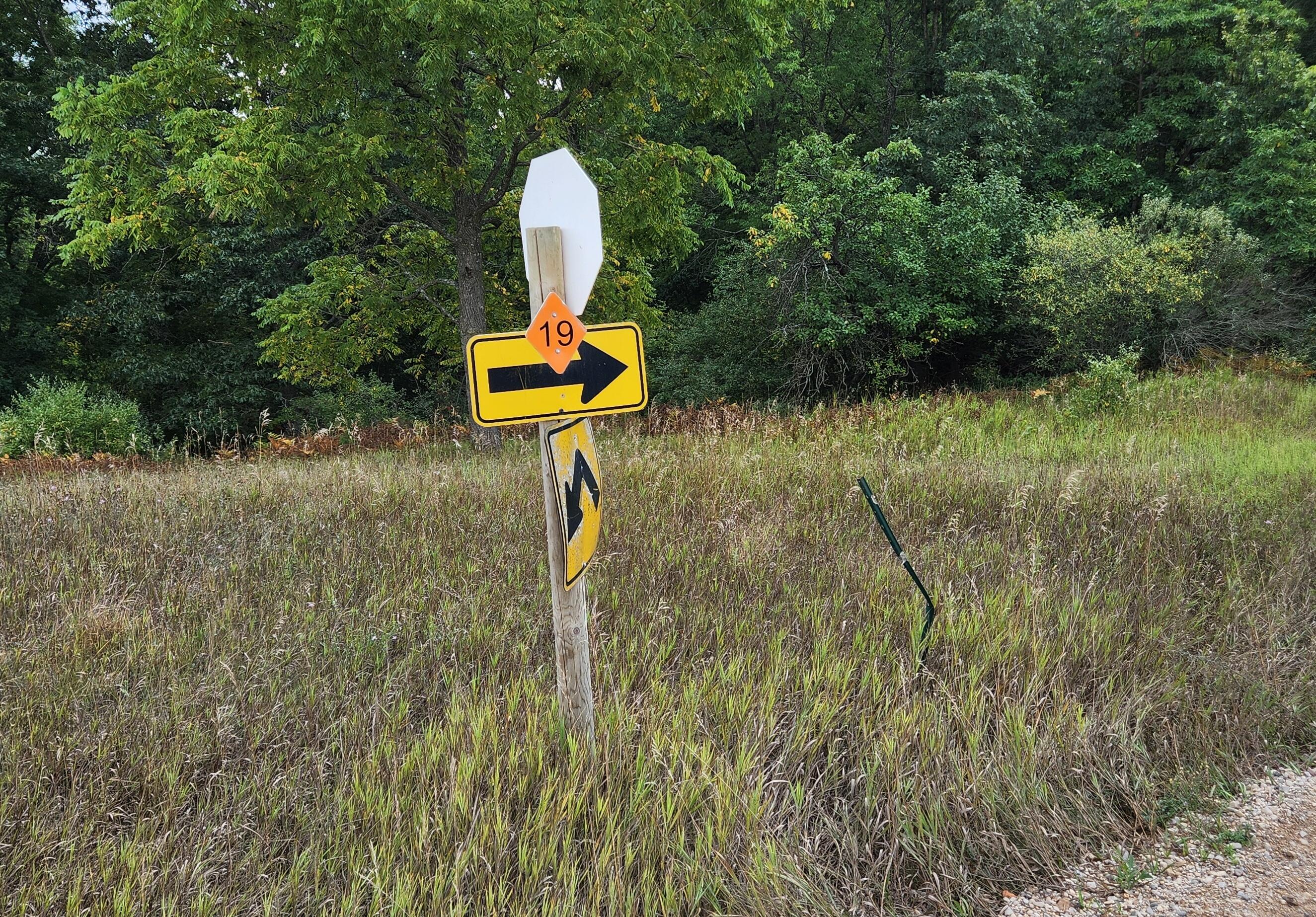 9557 East Anthony Road Branch, MI 49402 - Photo 75 of 98 Trail