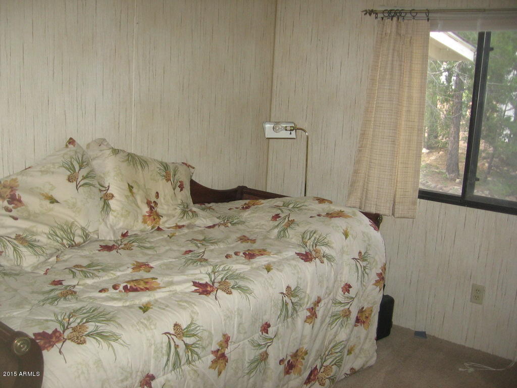 1993 Stagg Run Overgaard, AZ 85933 - Photo 15 of 16 Joyanna 2 012