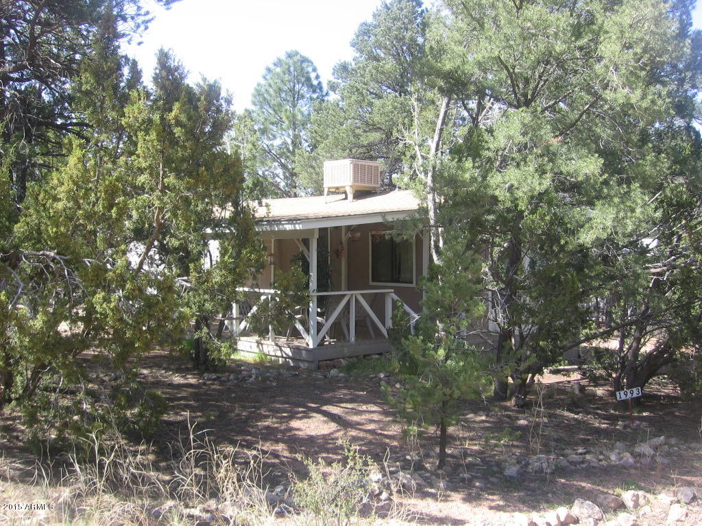 1993 Stagg Run Overgaard, AZ 85933 - Photo 9 of 16 Joyanna 003