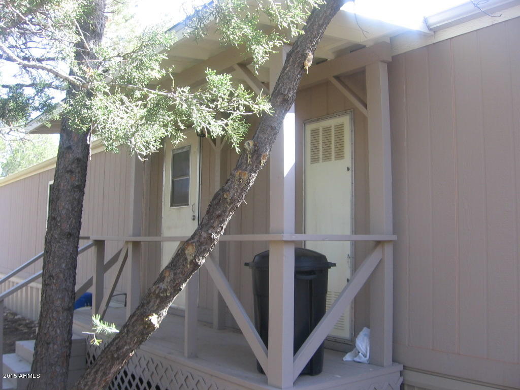 1993 Stagg Run Overgaard, AZ 85933 - Photo 10 of 16 Joyanna 010