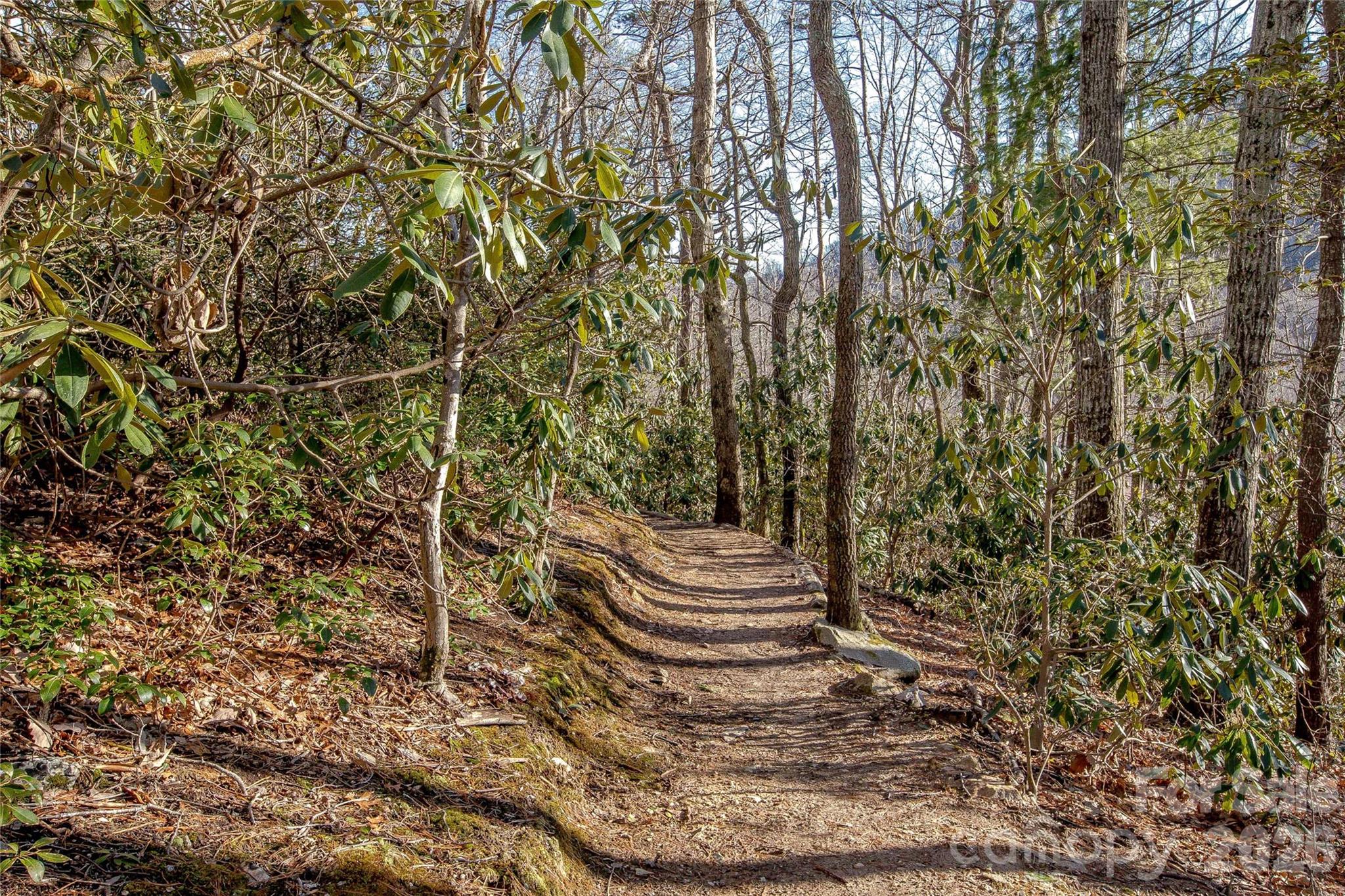 30 Still Creek Loop Fairview, NC 28730 - Photo 39 of 45 a view of outdoor space