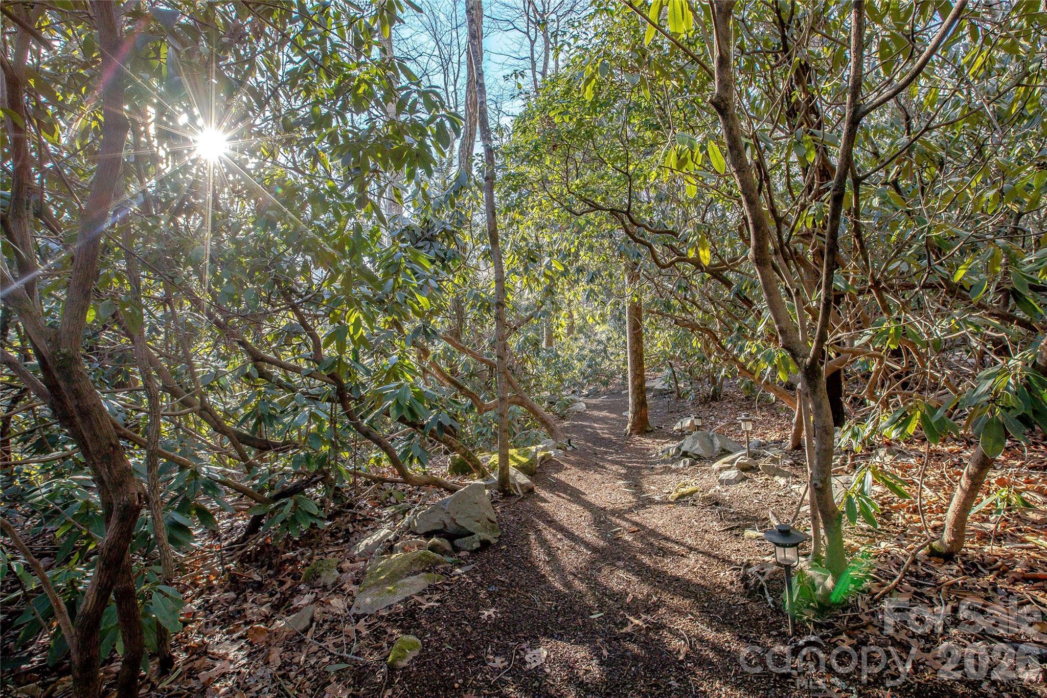 30 Still Creek Loop Fairview, NC 28730 - Photo 42 of 45 a backyard of a house with lots of plants and trees