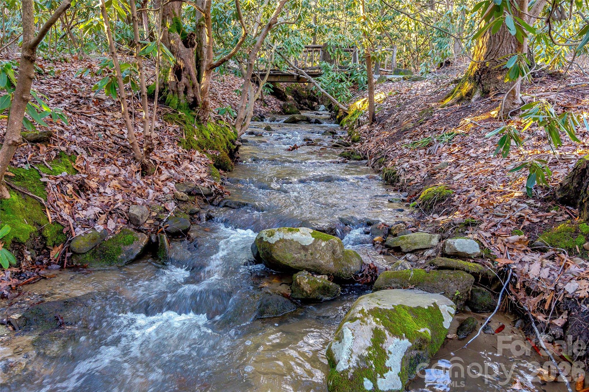 30 Still Creek Loop Fairview, NC 28730 - Photo 44 of 45 a backyard of a house with lots of green space