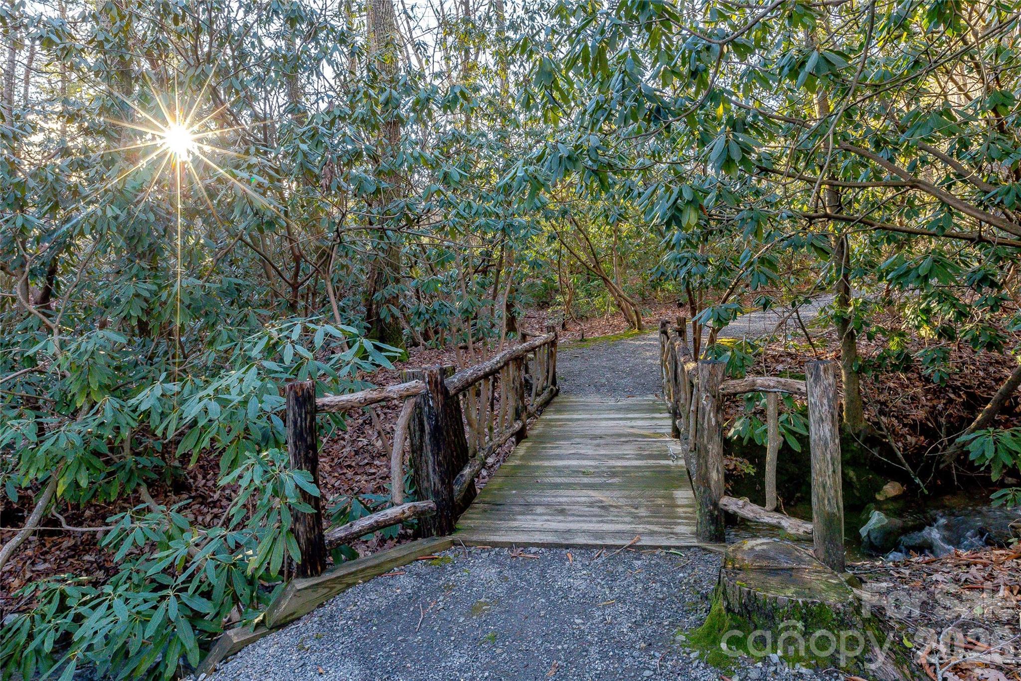 30 Still Creek Loop Fairview, NC 28730 - Photo 45 of 45 a view of a wooden house with large trees
