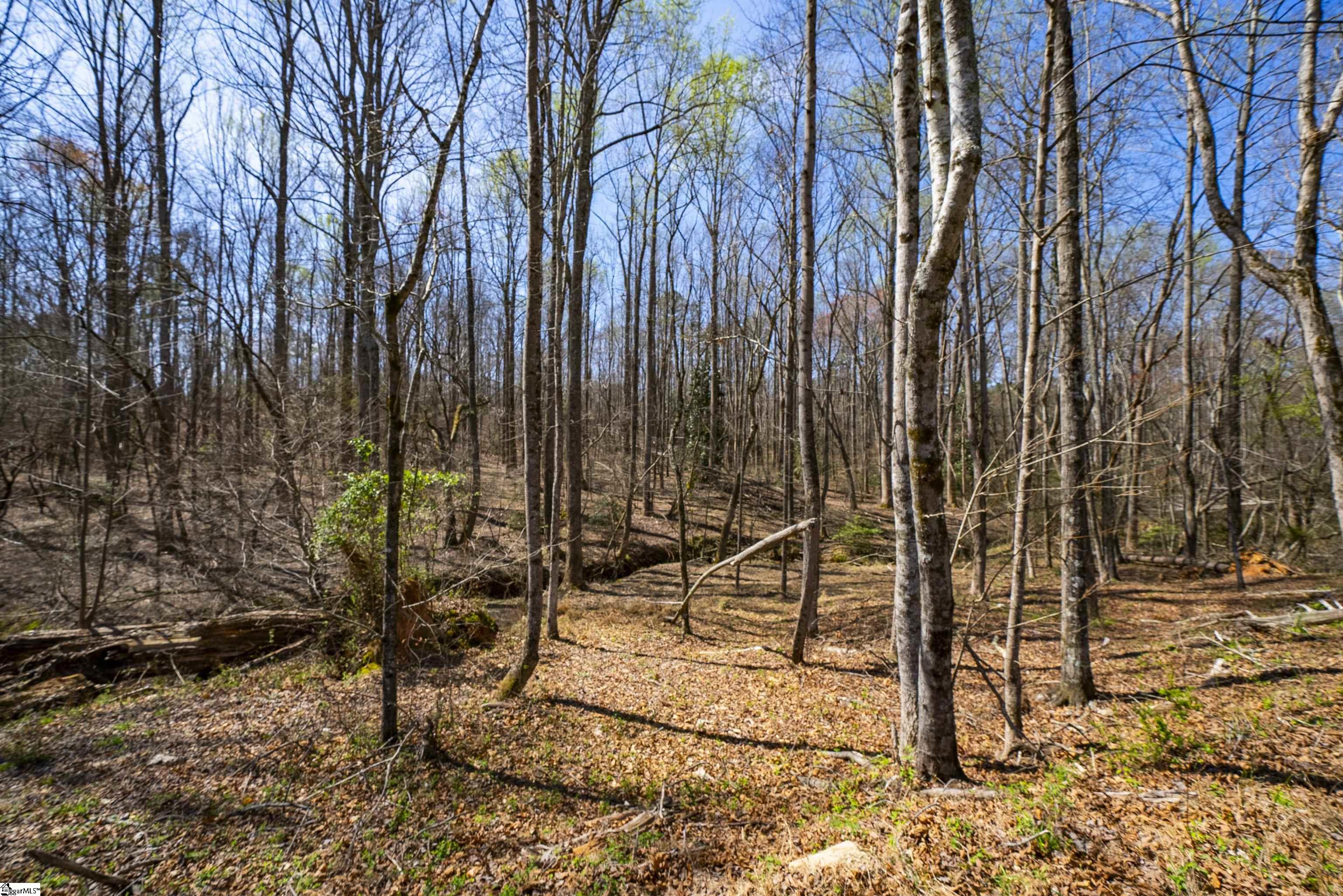 171 Hickory Road Williamston, SC 29697 - Photo 40 of 41