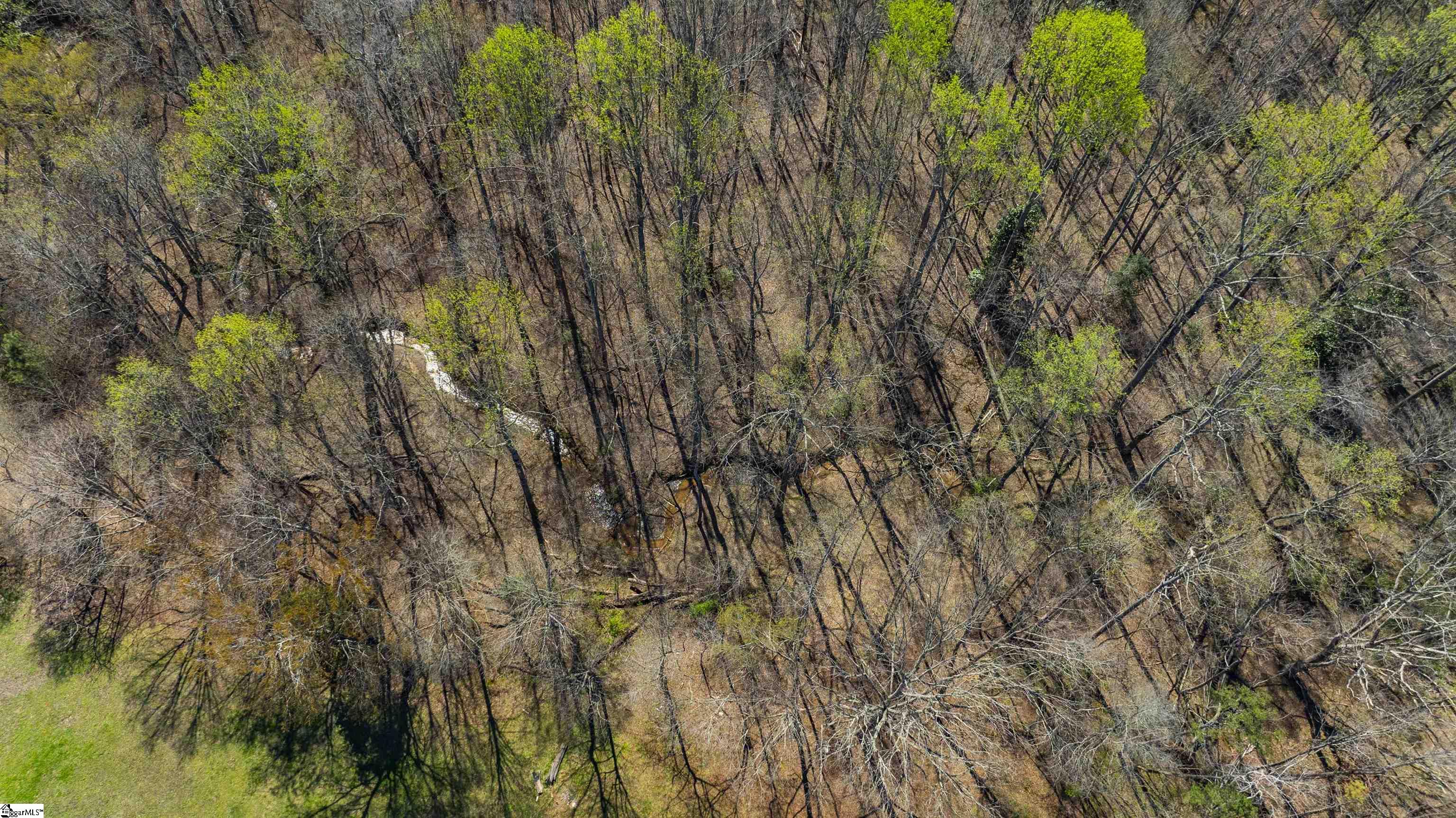 171 Hickory Road Williamston, SC 29697 - Photo 41 of 41