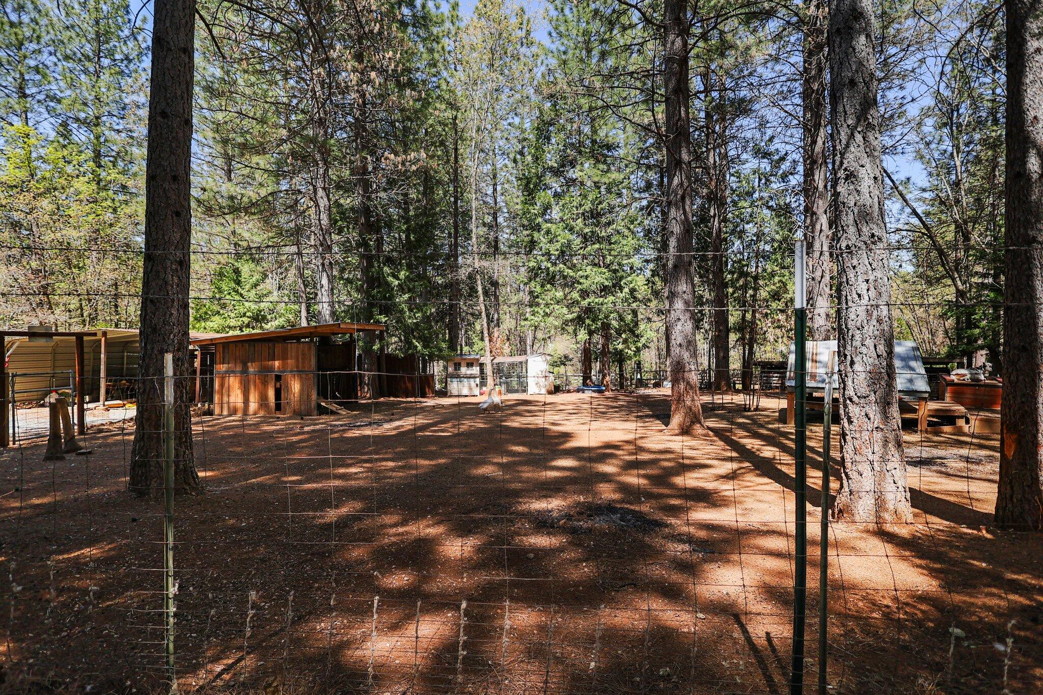 30726 Shingletown Ridge Road Shingletown, CA 96088 - Photo 53 of 84 31-web-or-mls-LZ0A1809