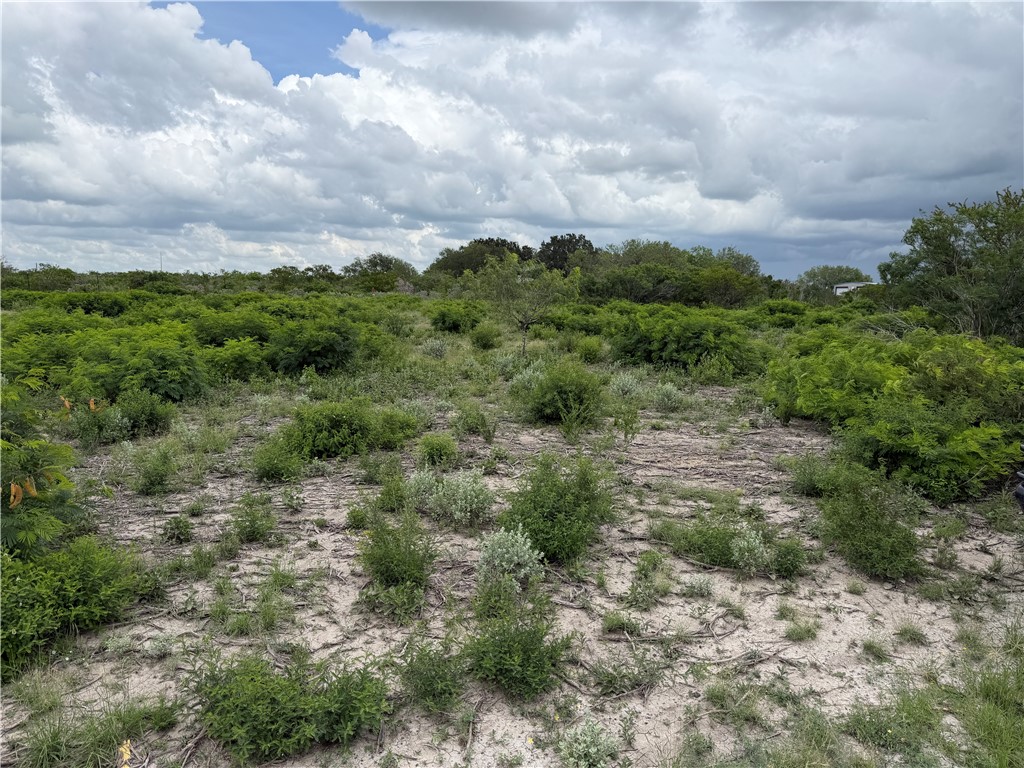 120 Quail Ridge Three Rivers, TX 78071 - Photo 4 of 5