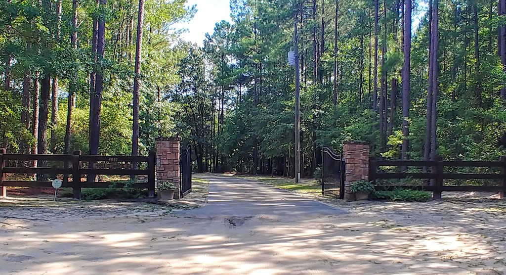 4681 Towner Road Mitchell, GA 30820 - Photo 2 of 20