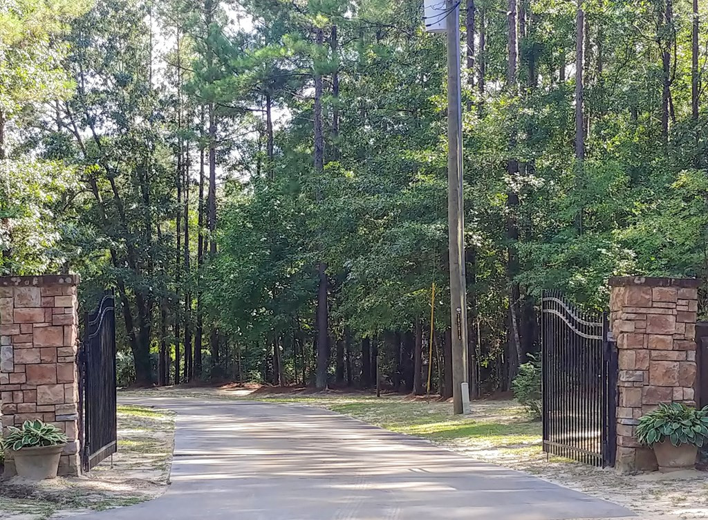 4681 Towner Road Mitchell, GA 30820 - Photo 3 of 20