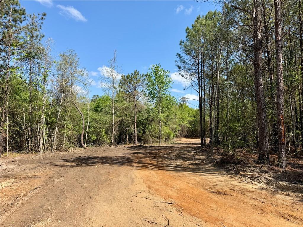 344 Ridge Road Seale, AL 36875 - Photo 30 of 30 Gallery Image 30
