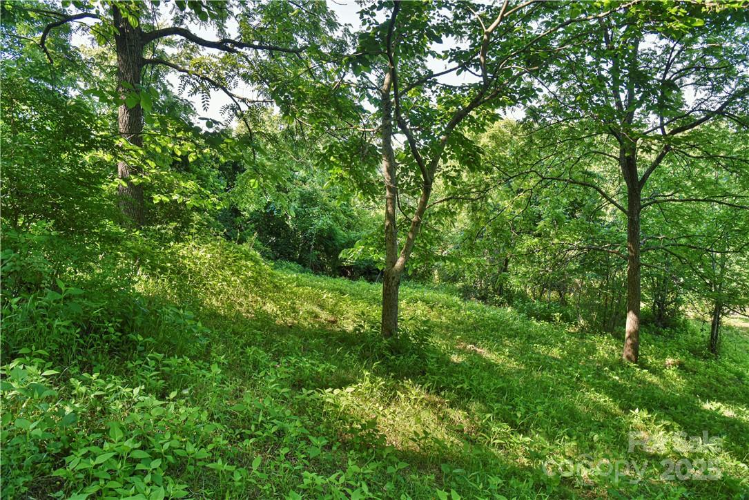 415 Weaverville Road Asheville, NC 28804 - Photo 11 of 47 a view of a lush green forest