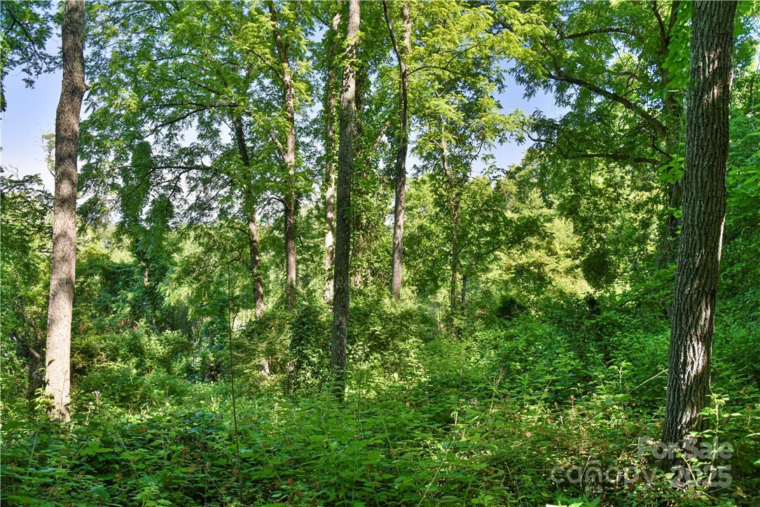415 Weaverville Road Asheville, NC 28804 - Photo 14 of 47