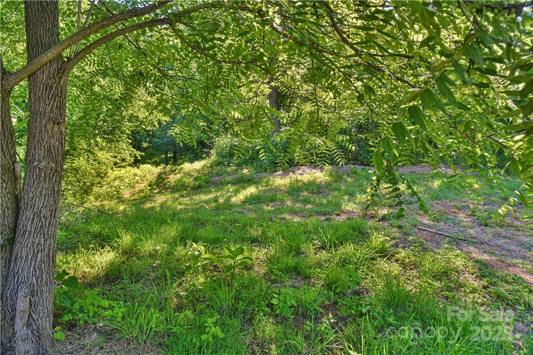 415 Weaverville Road Asheville, NC 28804 - Photo 15 of 47 a view of a lush green forest