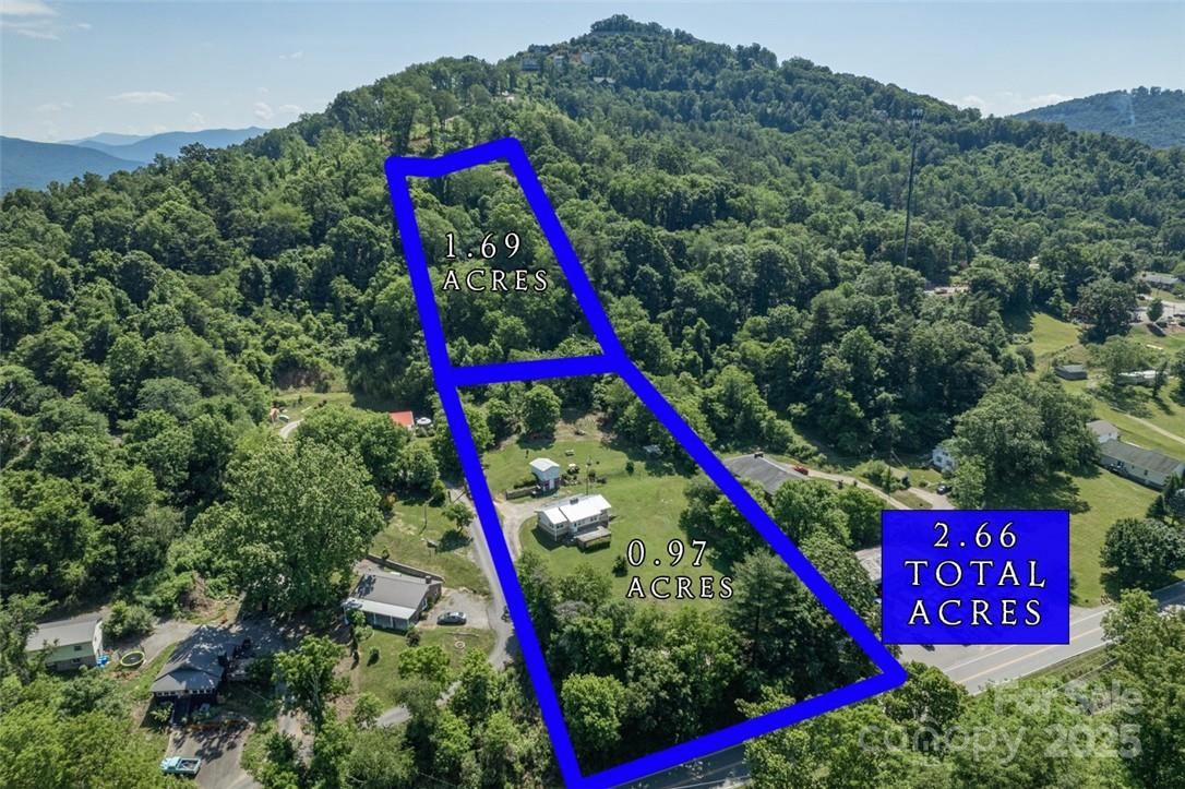 415 Weaverville Road Asheville, NC 28804 - Photo 2 of 47 a view of a park with large trees and plants