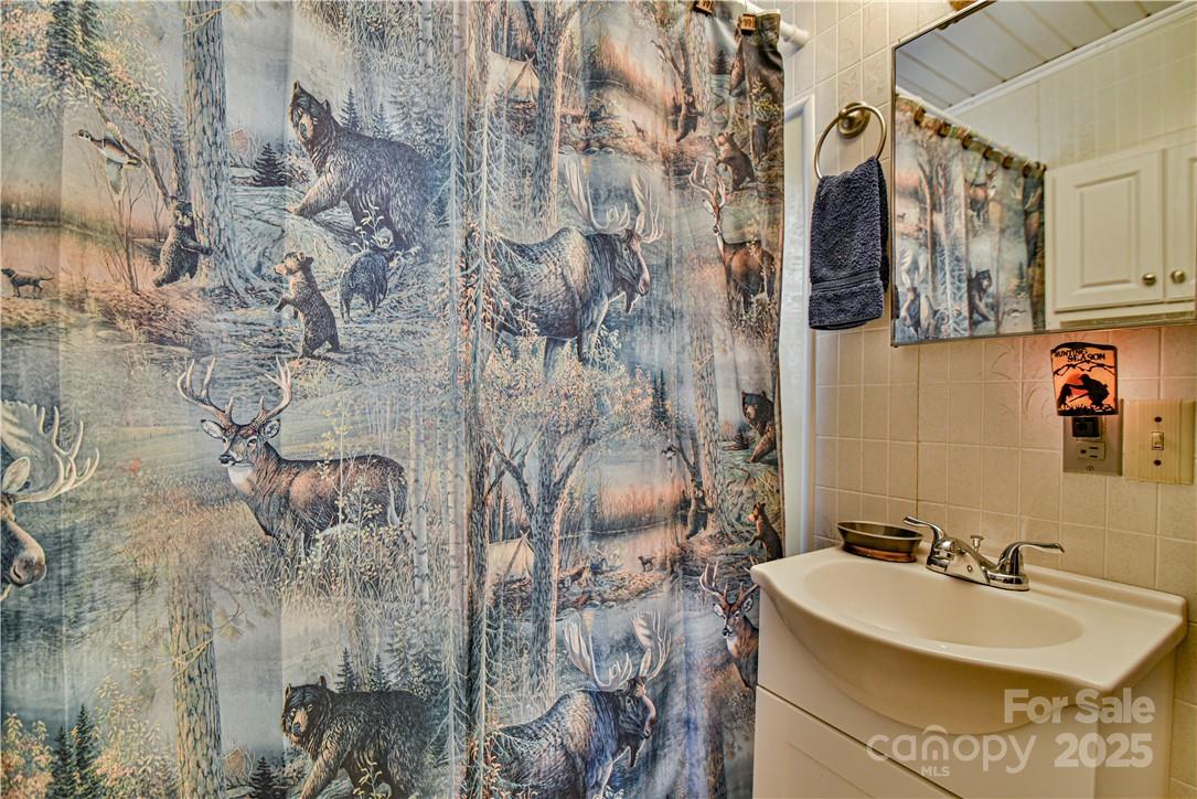 415 Weaverville Road Asheville, NC 28804 - Photo 22 of 47 a bathroom with a sink and mirror