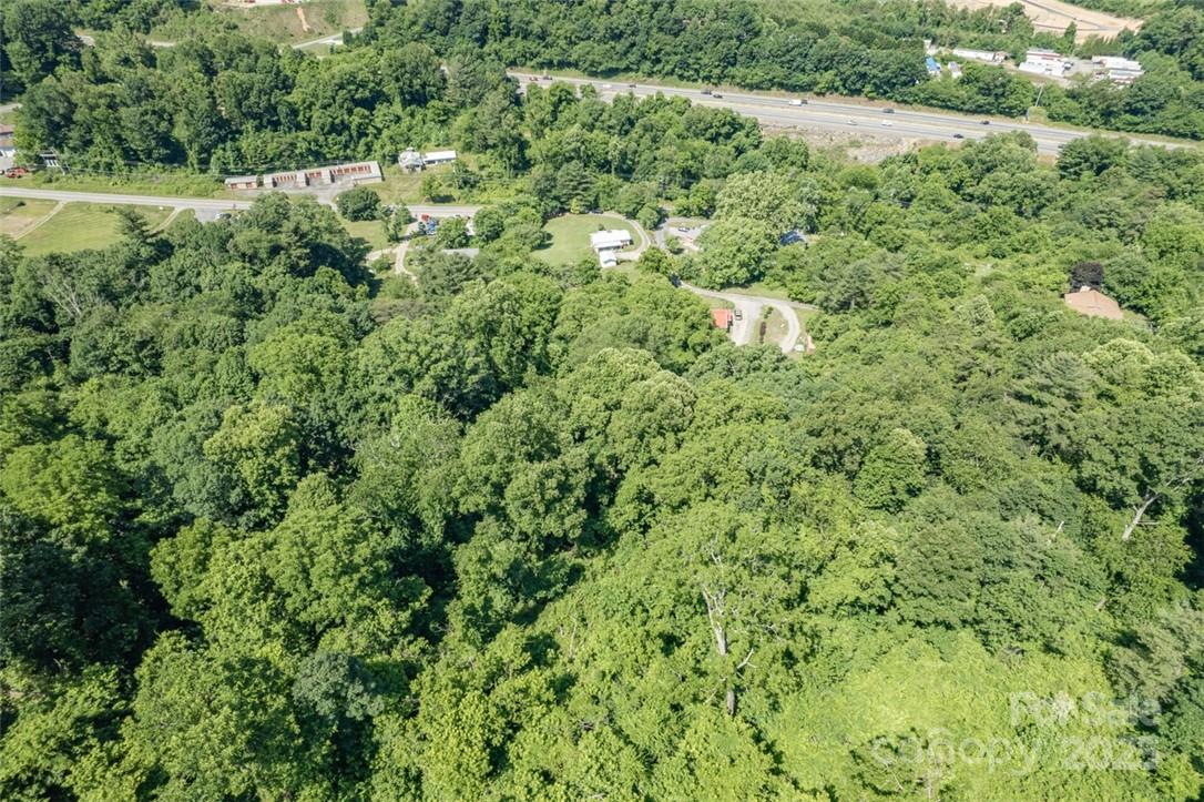 415 Weaverville Road Asheville, NC 28804 - Photo 45 of 47 a view of a lush green forest with lots of trees