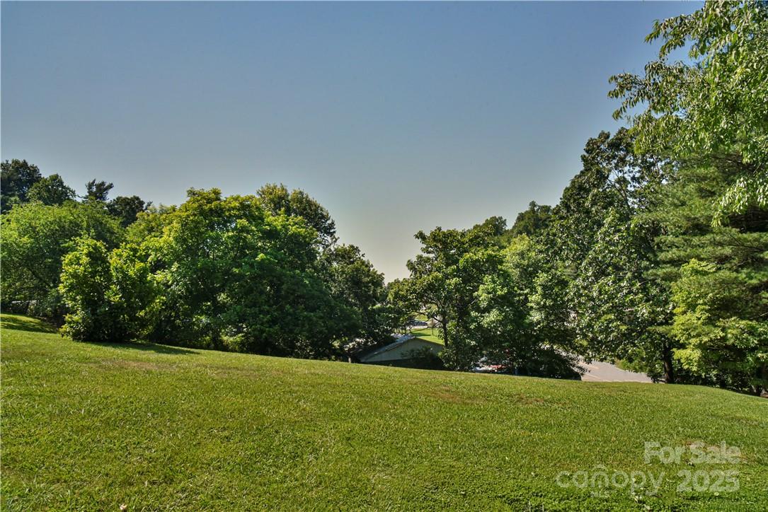 415 Weaverville Road Asheville, NC 28804 - Photo 7 of 47 a view of a field with an trees