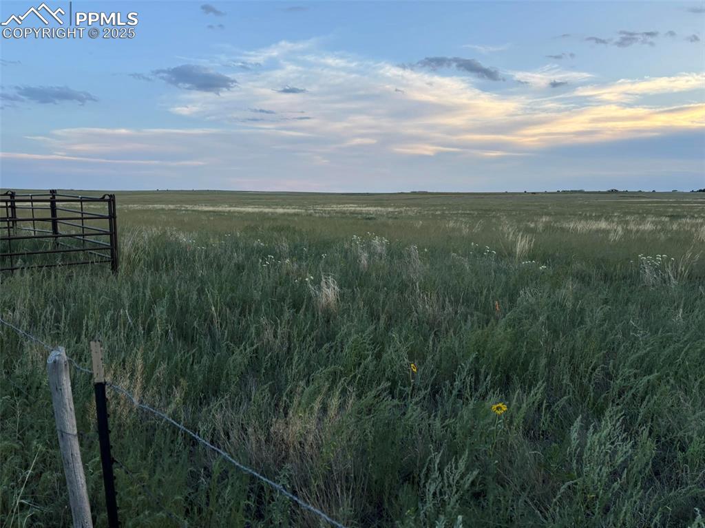40655 Truckton Road Rush, CO 80833 - Photo 4 of 16 a view of a lush green space with sea