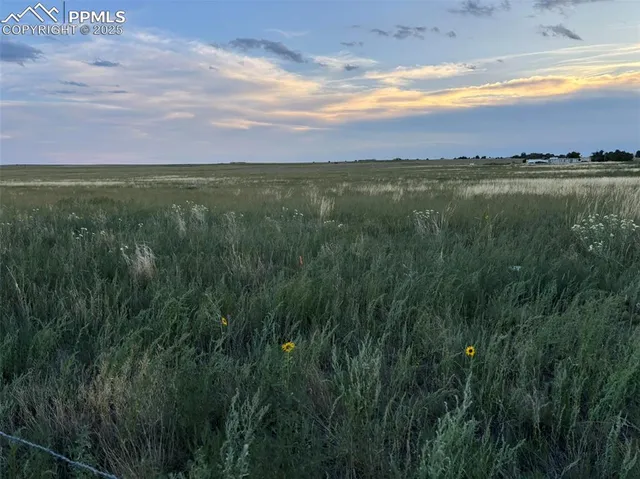 a view of an ocean and beach