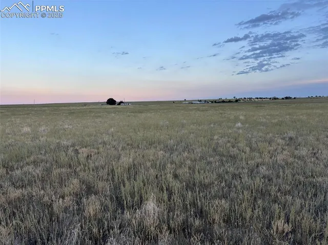 a view of an ocean and beach