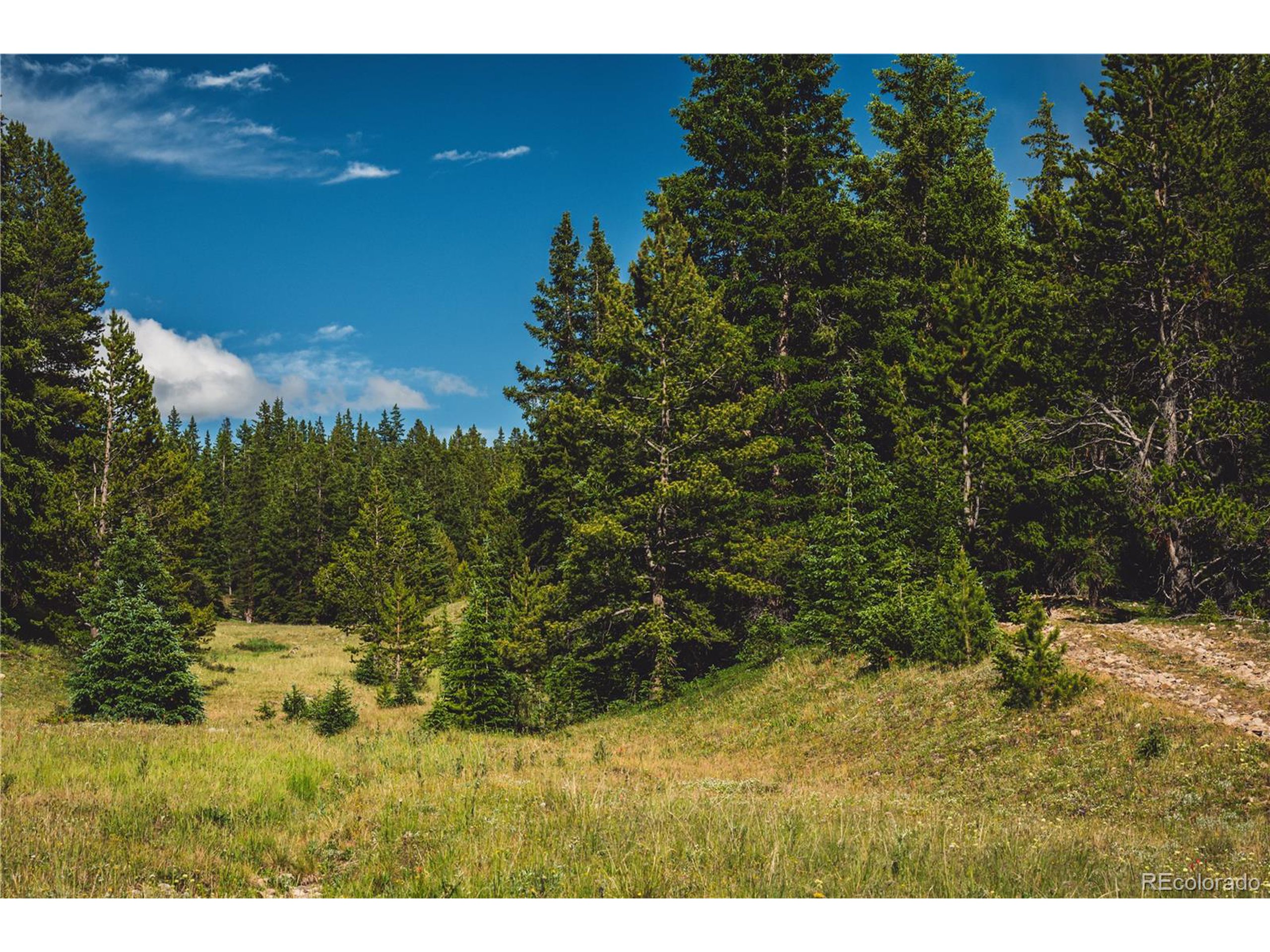 a view of outdoor space and yard