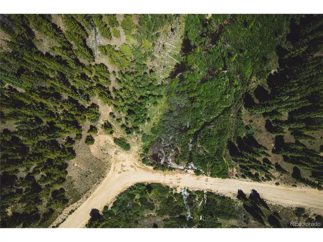a view of a lush green forest with lots of trees