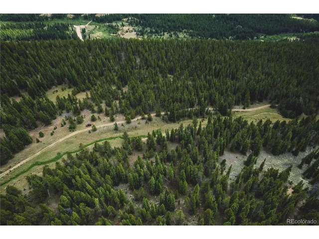 a view of a lush green forest