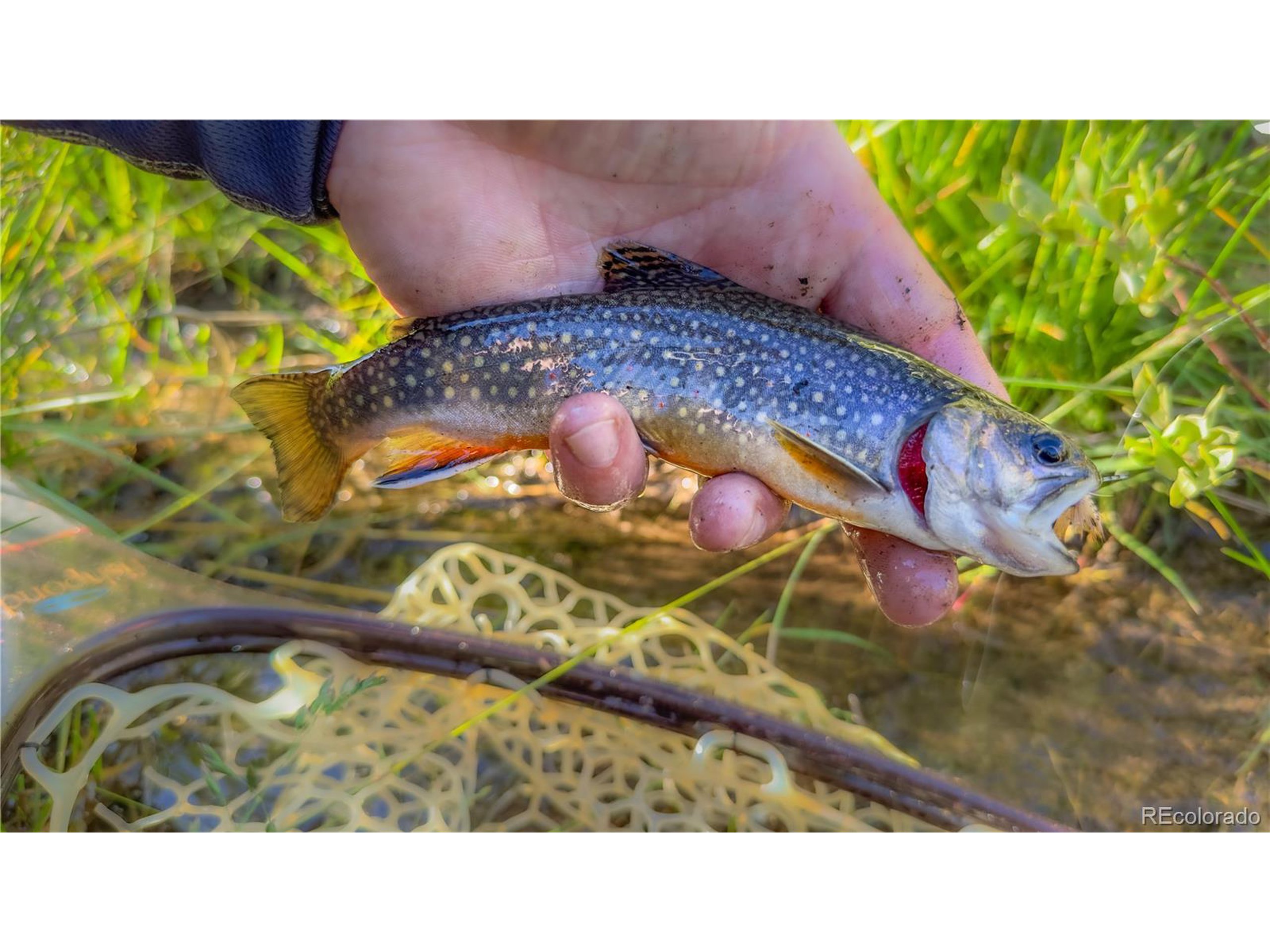 5347 Monitor Leadville, CO 80461 - Photo 23 of 37 a black and white photo of a room