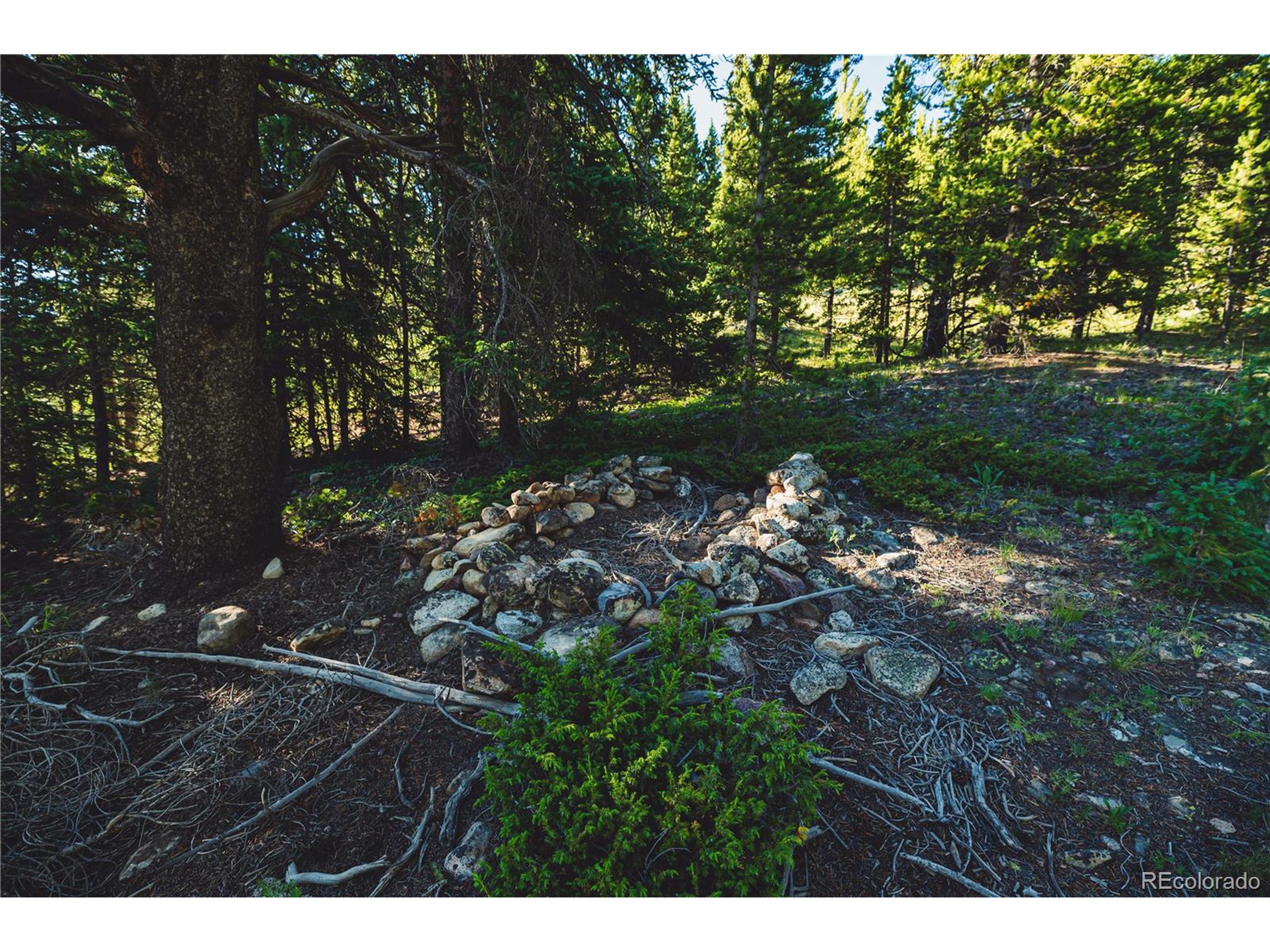 5347 Monitor Leadville, CO 80461 - Photo 24 of 37 a backyard of a house with lots of green space