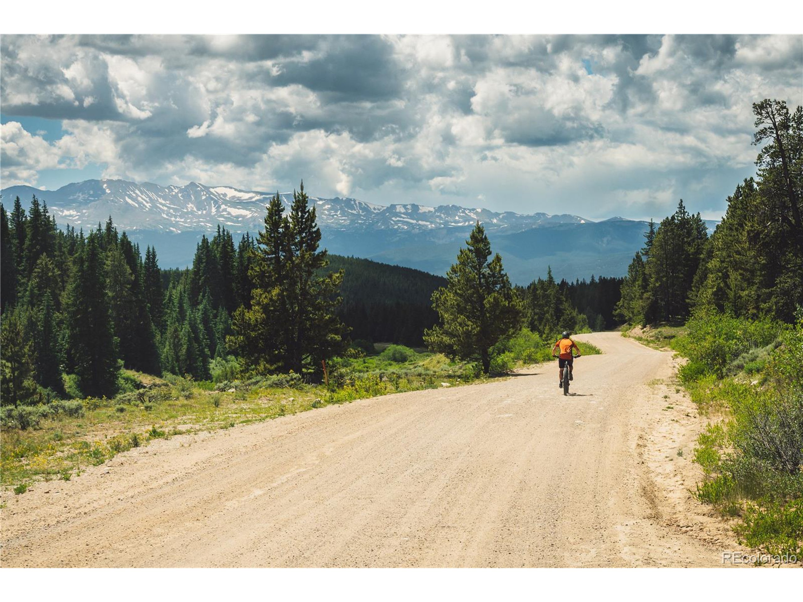 5347 Monitor Leadville, CO 80461 - Photo 26 of 37