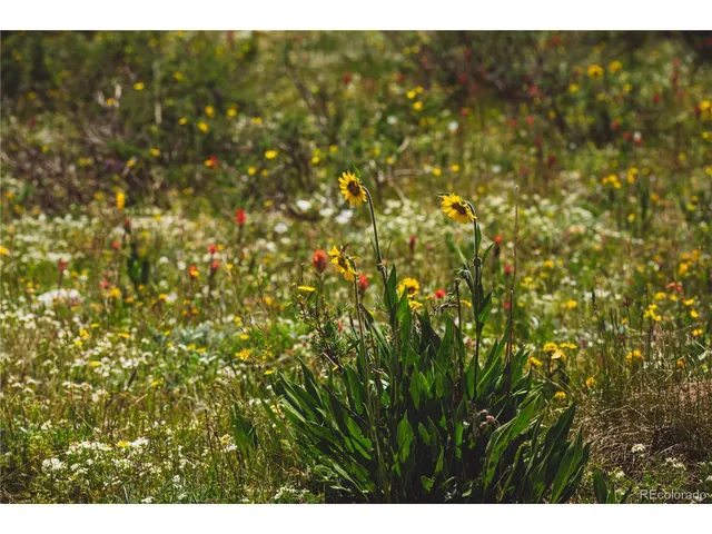 a view of terrace with sky view