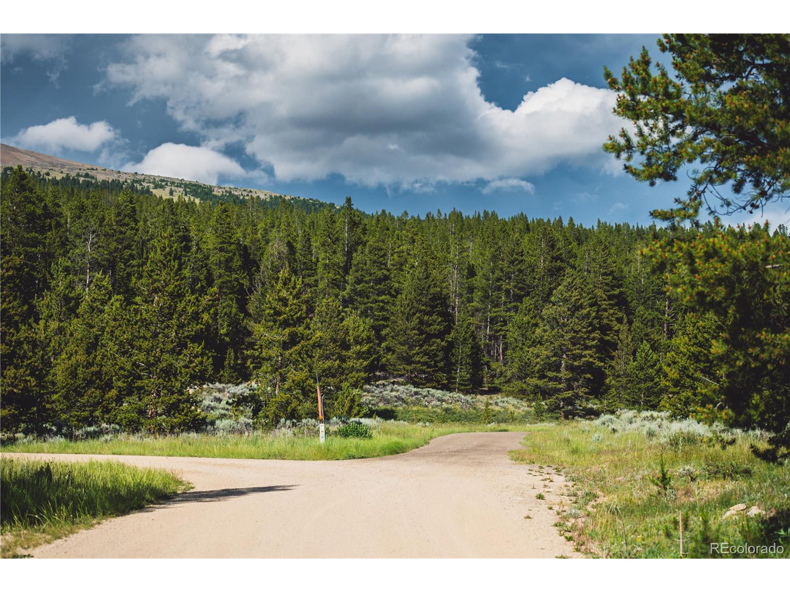 5347 Monitor Leadville, CO 80461 - Photo 31 of 37 a view of a yard