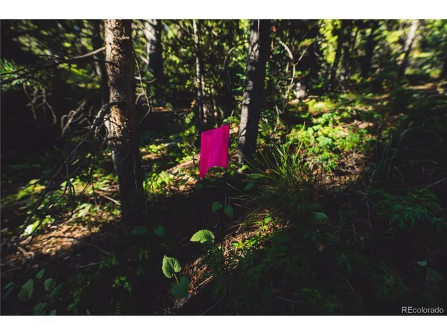 a picture of street with view of buildings