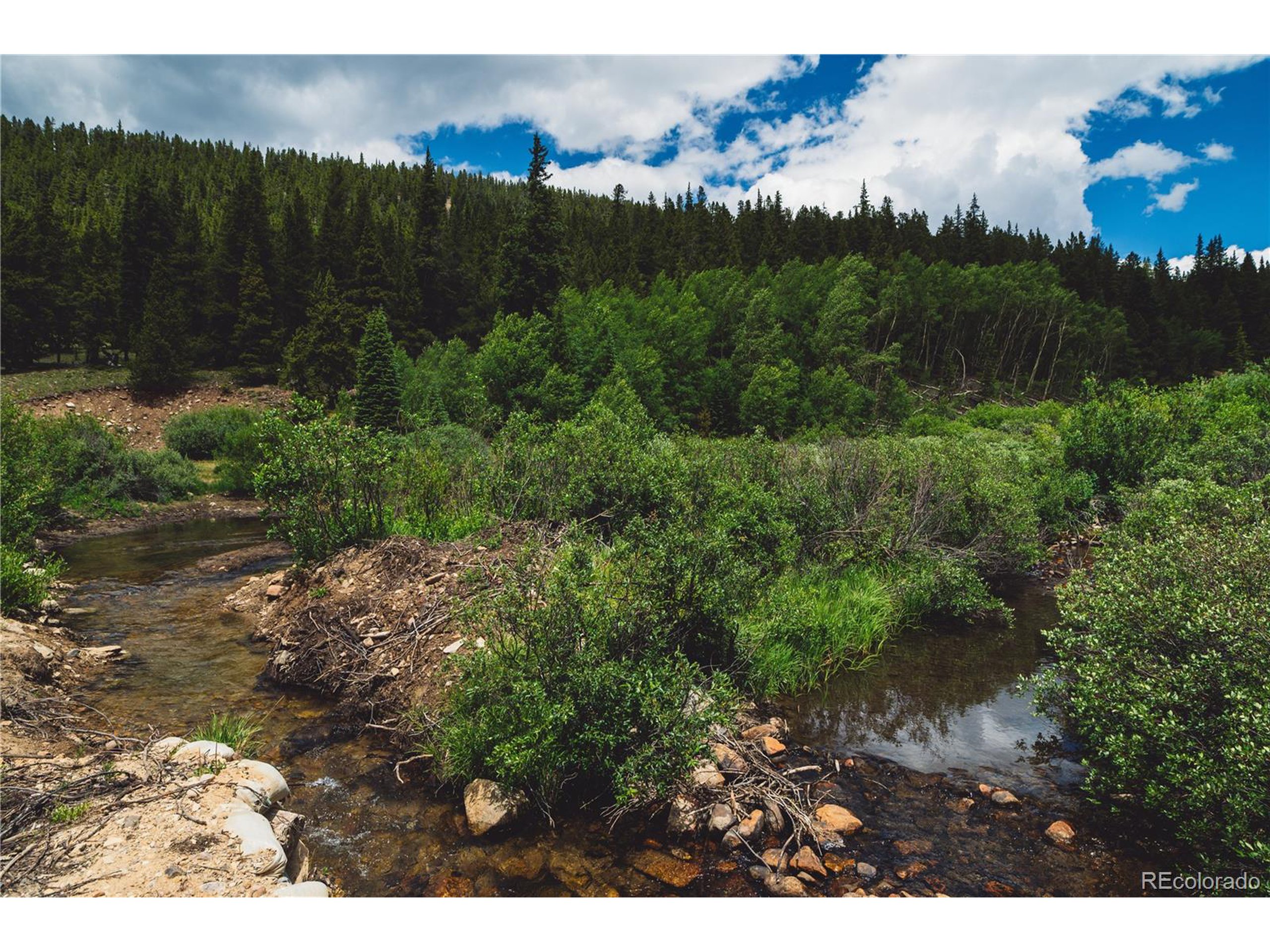 5347 Monitor Leadville, CO 80461 - Photo 5 of 37 a view of a yard with a tree