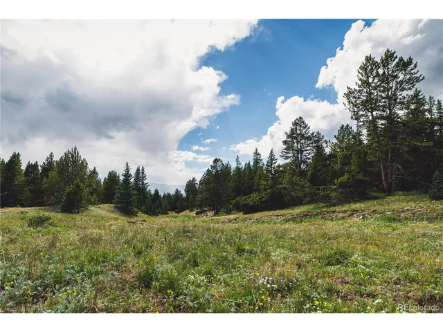 a view of a yard with an outdoor space