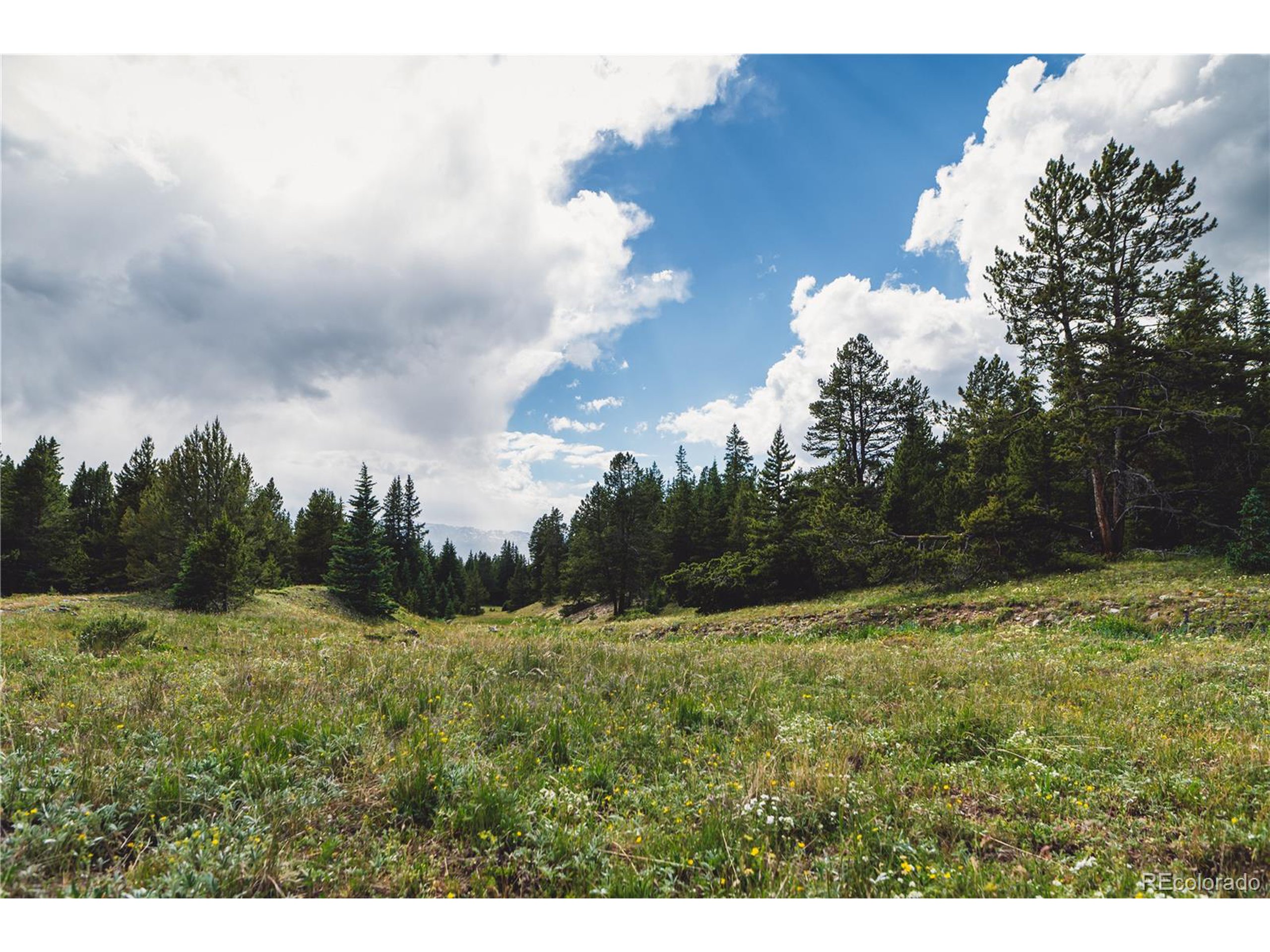 5347 Monitor Leadville, CO 80461 - Photo 6 of 37