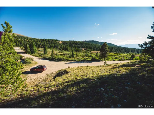 a view of a field with a tree