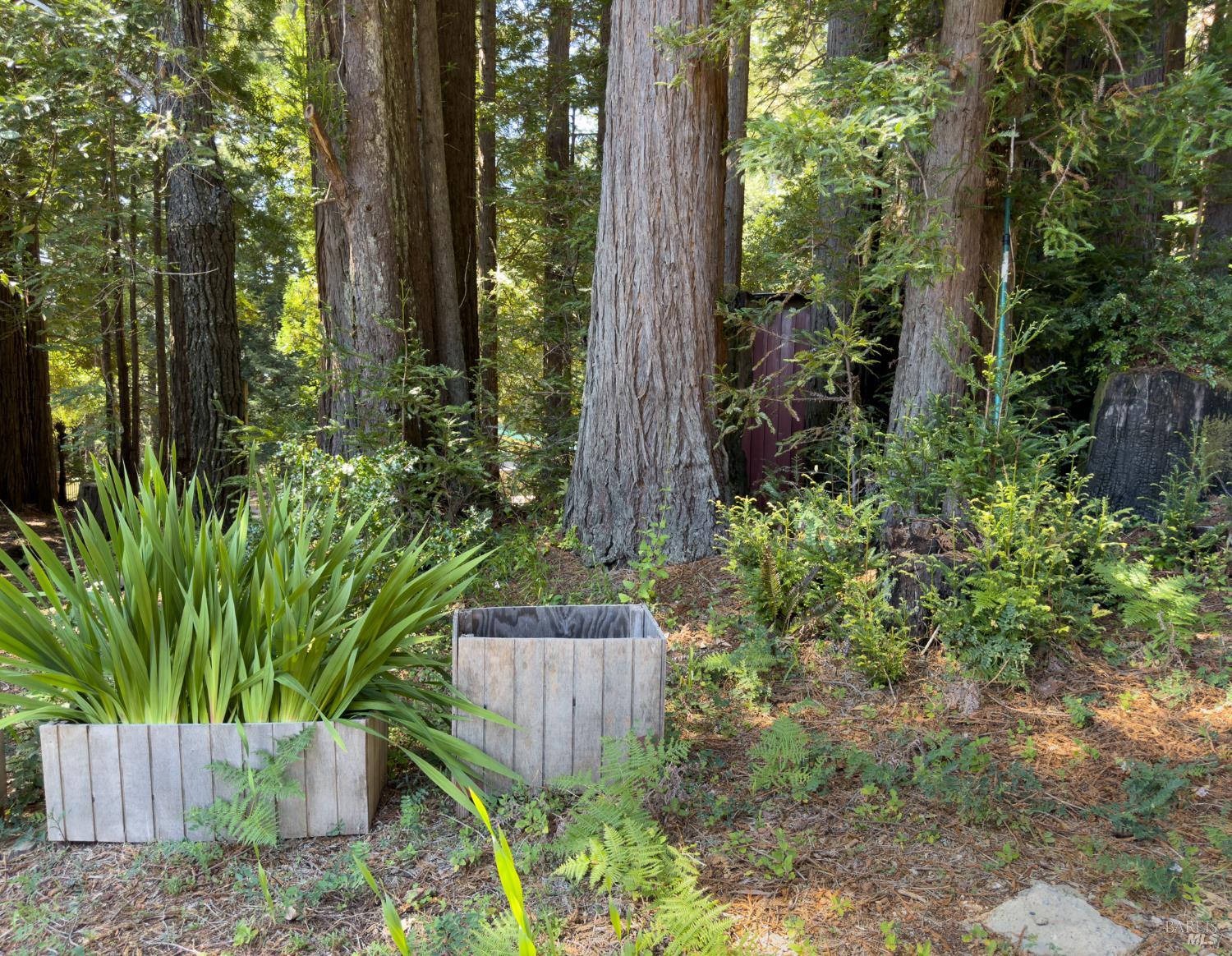 46650 Fish Rock Road Gualala, CA 95445 - Photo 32 of 36